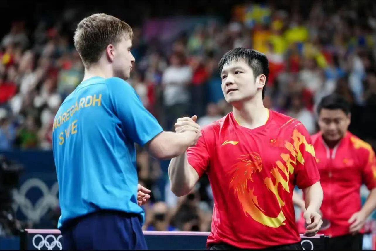 关于英国乒乓球队绝杀波兰乒乓球队,樊振东统治全场的信息 关于英国乒乓球队绝杀波兰乒乓球队,樊振东统治全场的信息