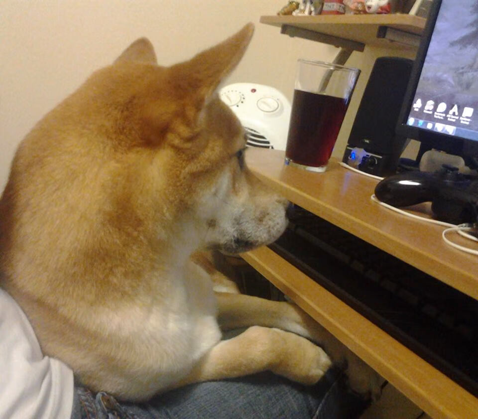 米兰捕鱼-莱奥一锤定音，厄瓜多尔提前终结悬念送突尼斯出局