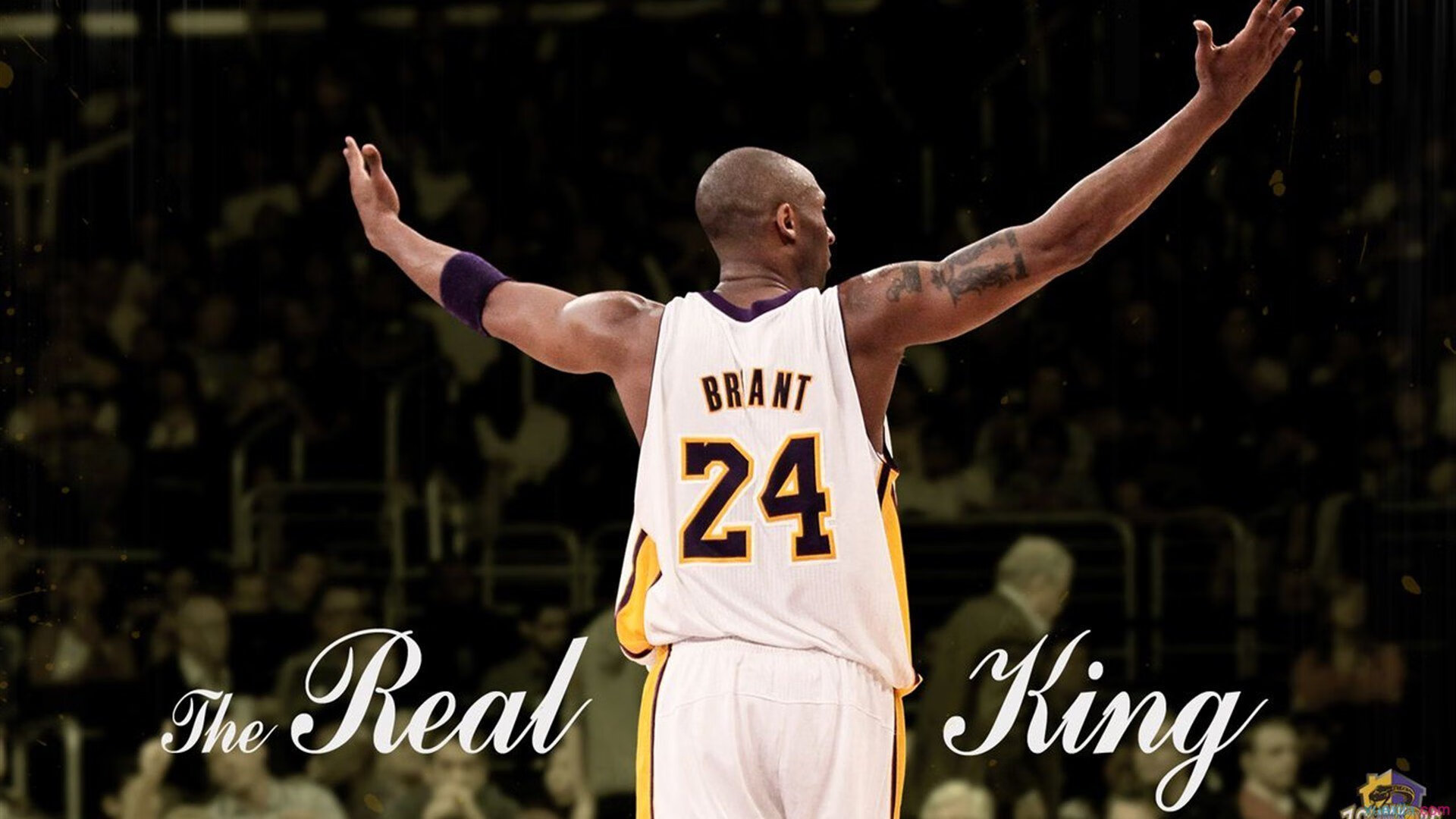 孤勇者的胜利，当威廉姆斯力克阿斯顿马丁，佩雷兹如何以一人之肩扛起整支车队的天空